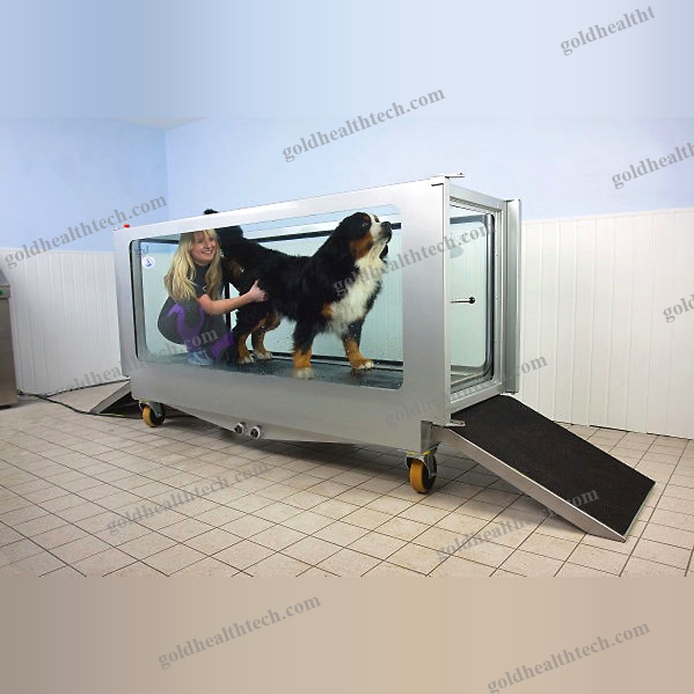 Underwater Veterinary Treadmill