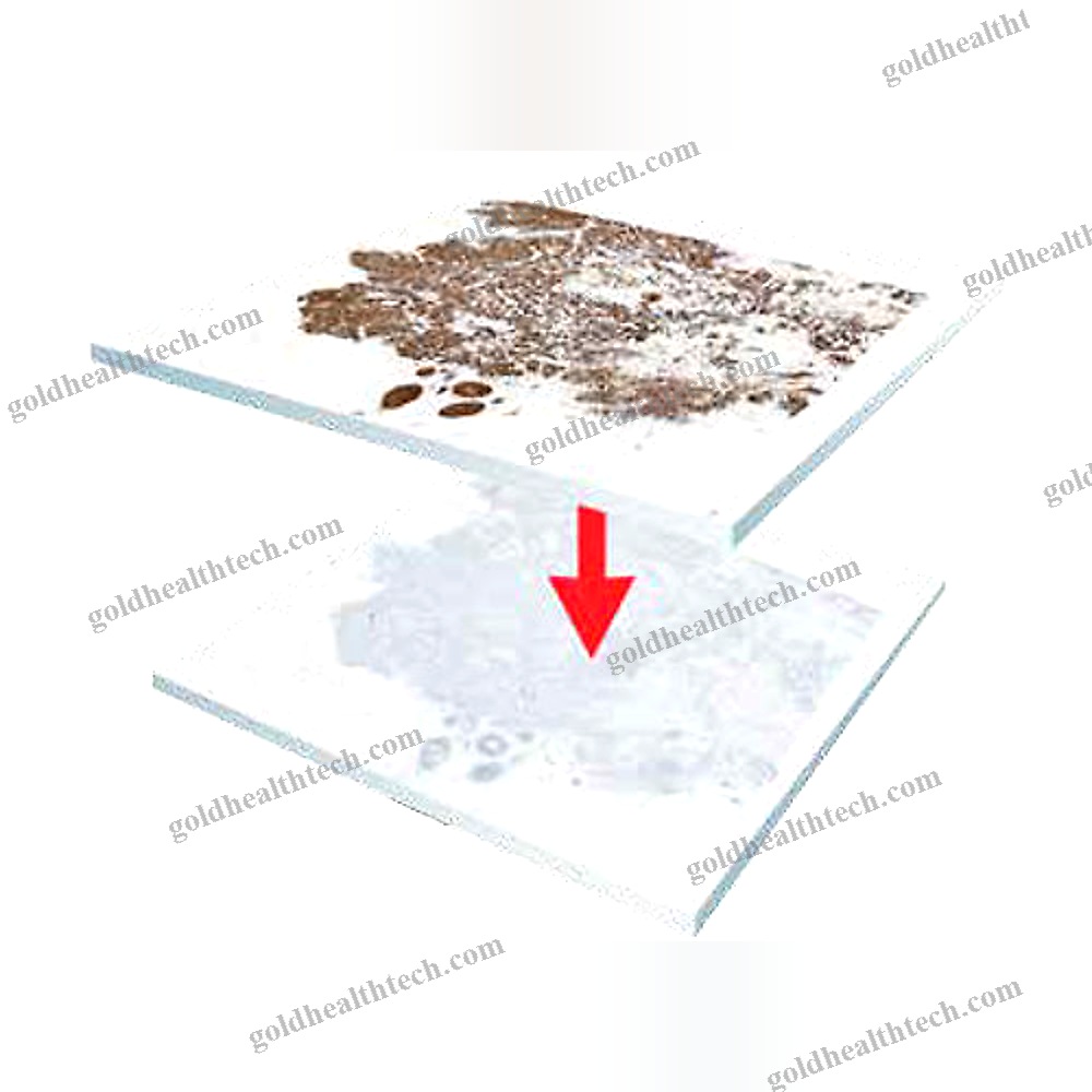Clinical Software Module