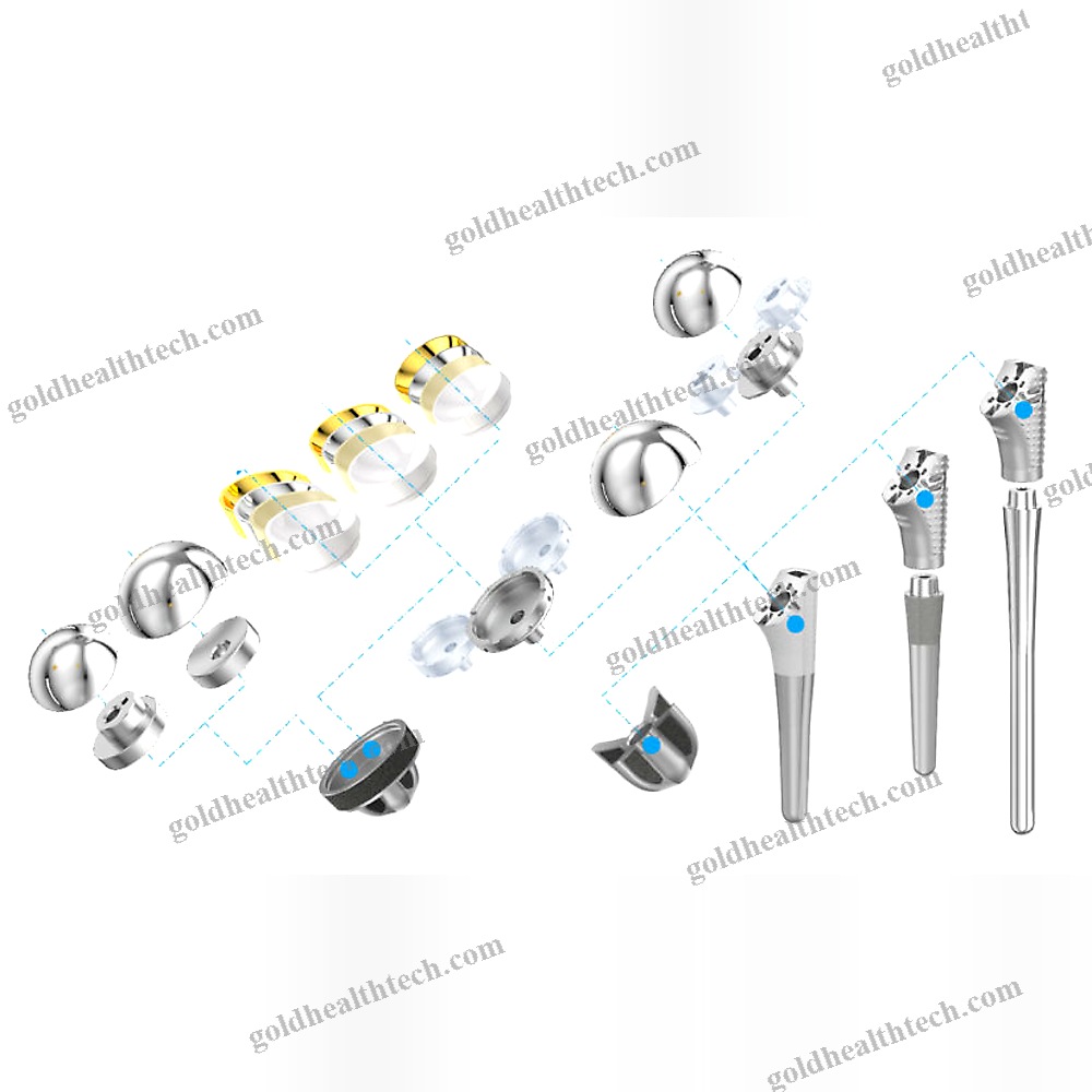 Reverse Shoulder Prosthesis