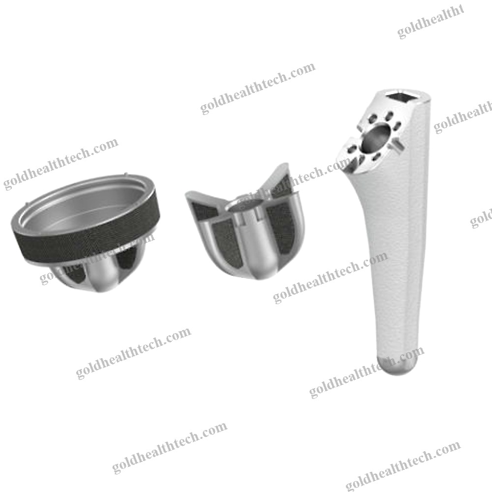 Reverse Shoulder Prosthesis