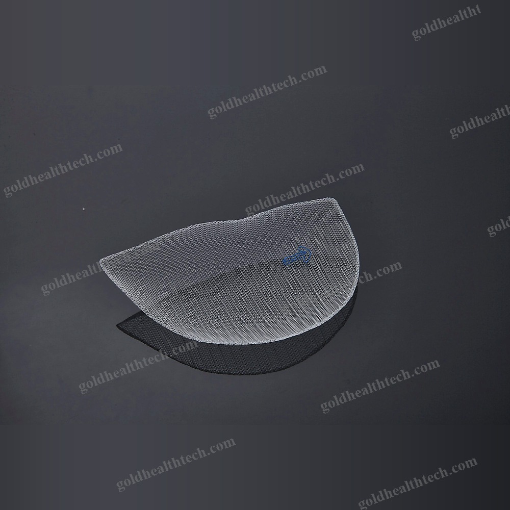 Inguinal Hernia Prosthesis