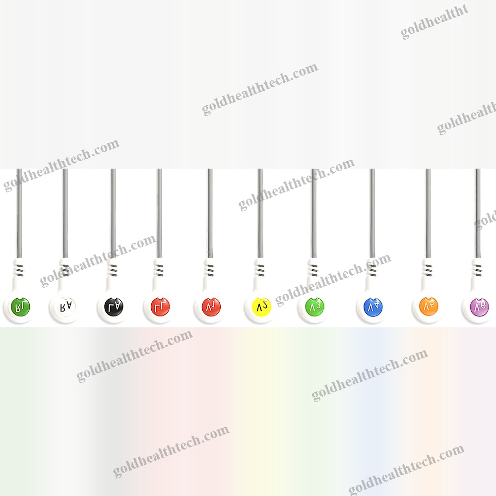 12-Channel Holter Monitor