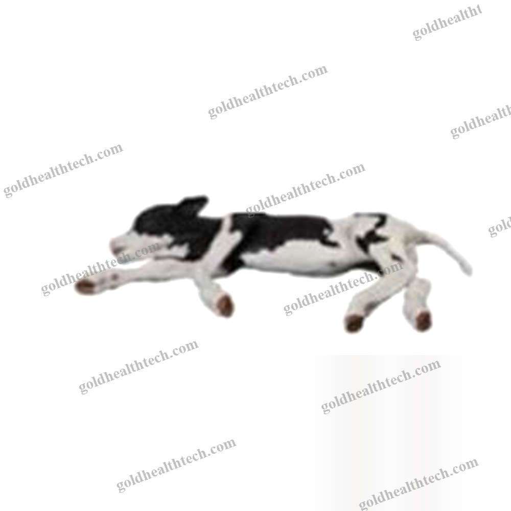 Veterinary Training Manikin