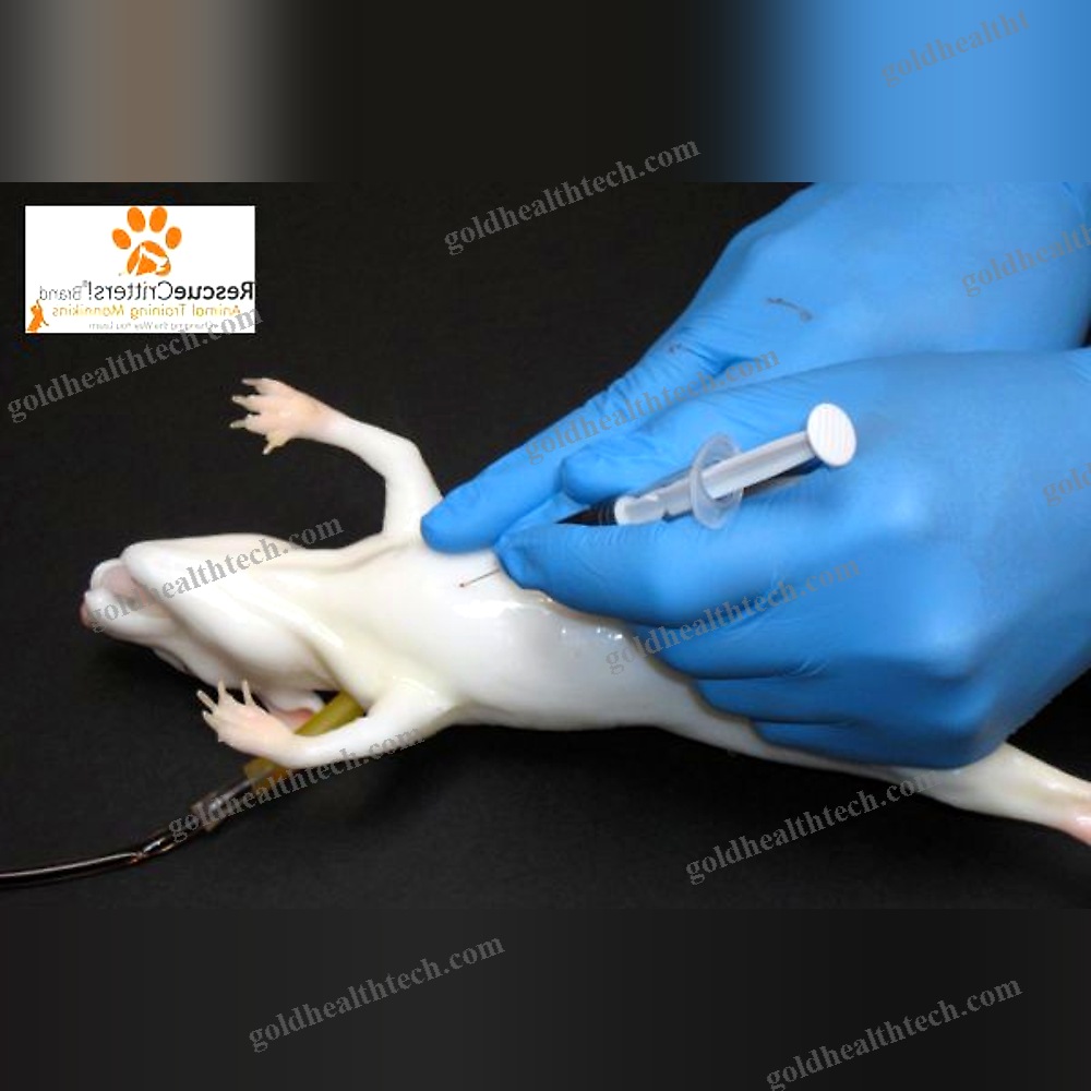 Veterinary Training Manikin