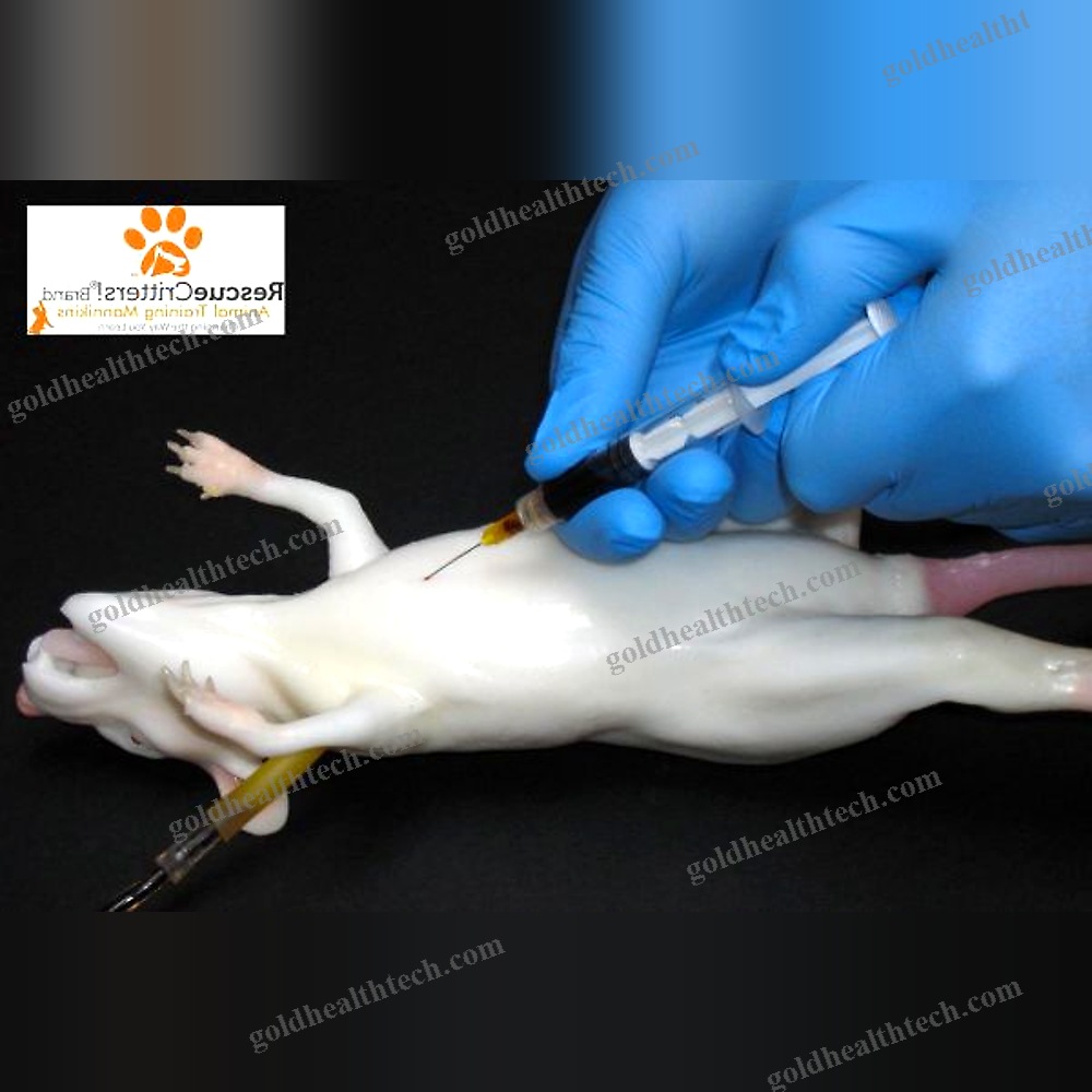 Veterinary Training Manikin