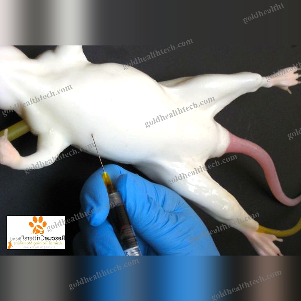 Veterinary Training Manikin