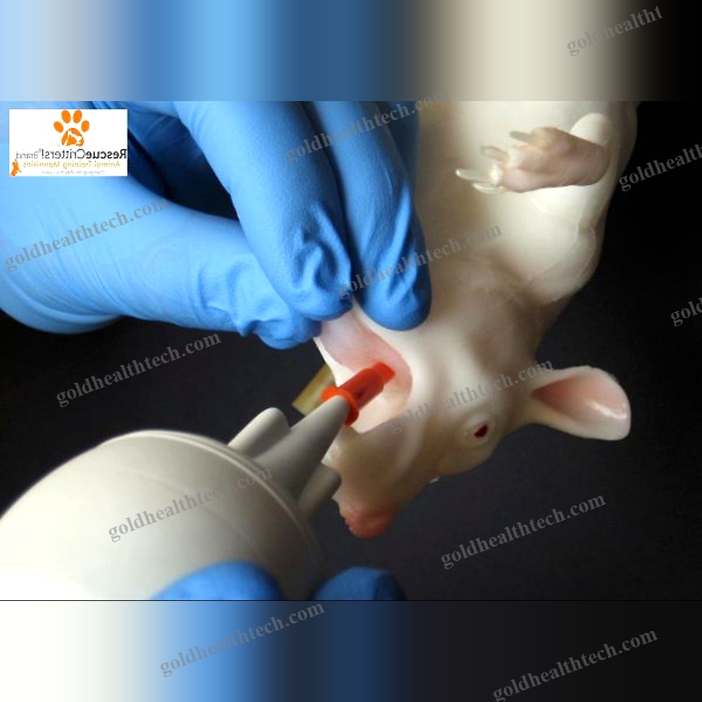 Veterinary Training Manikin