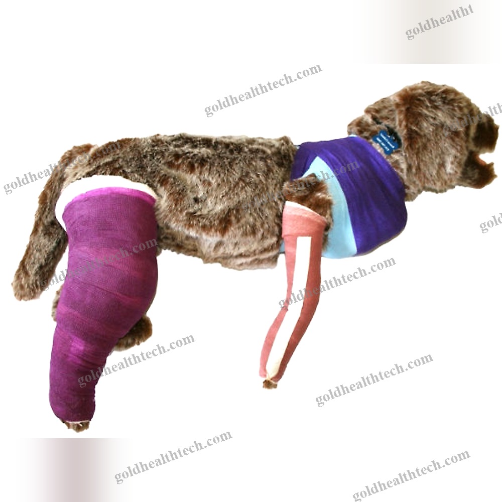 Veterinary Training Manikin