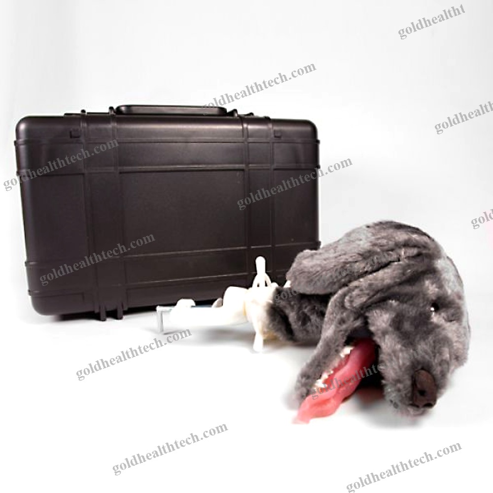 Veterinary Training Manikin