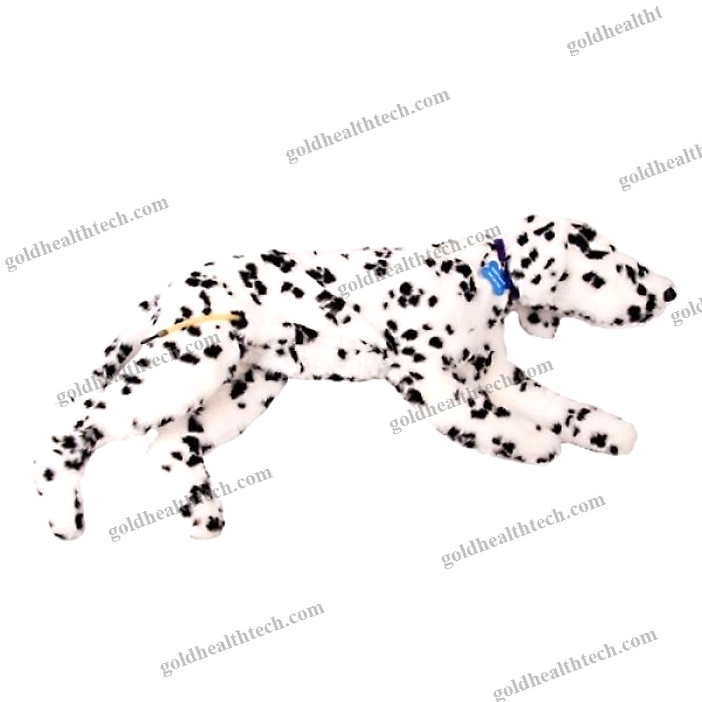 Veterinary Training Manikin