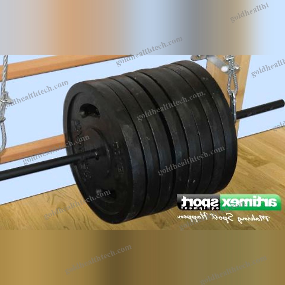Rehabilitation Wall Bars