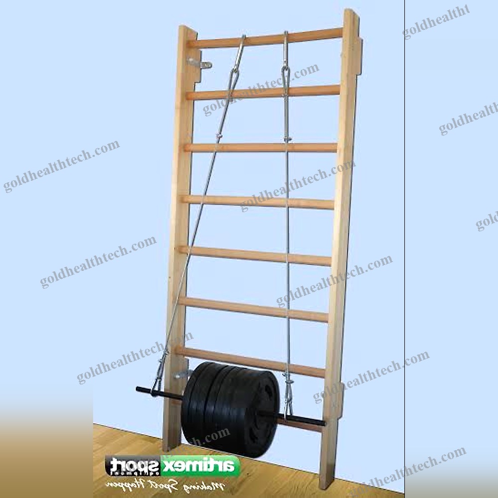 Rehabilitation Wall Bars