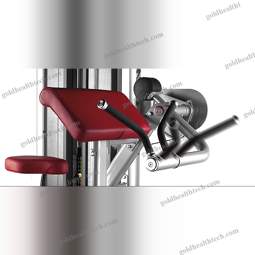 Arm Curl Gym Station