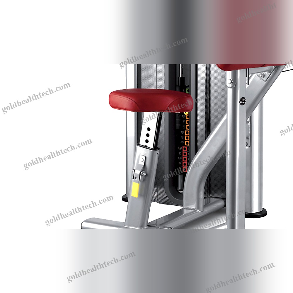 Arm Curl Gym Station