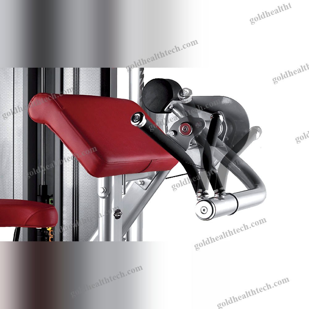 Arm Curl Gym Station