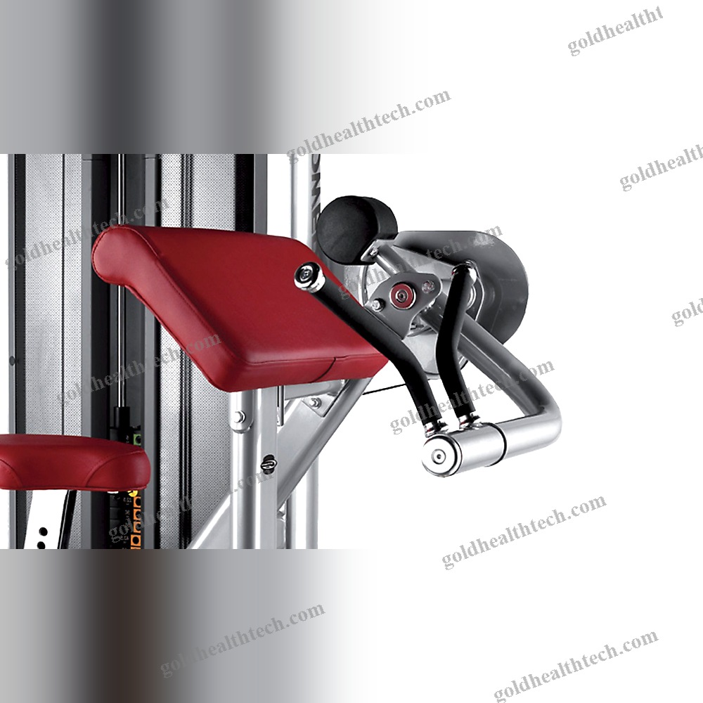 Arm Curl Gym Station