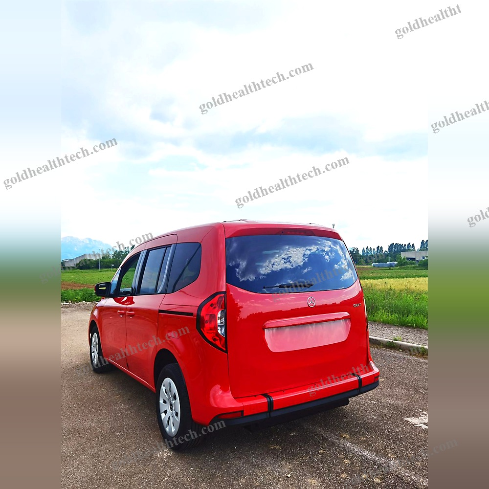 Minivan Wheelchair Accessible Vehicle