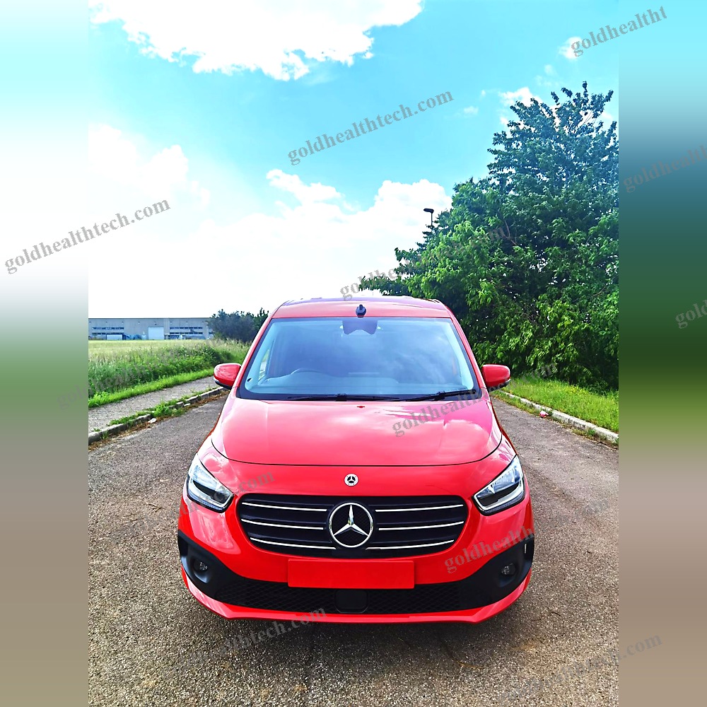 Minivan Wheelchair Accessible Vehicle