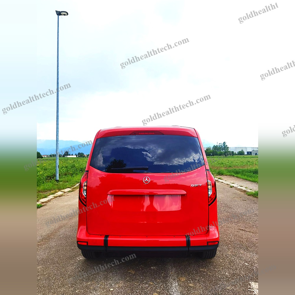 Minivan Wheelchair Accessible Vehicle