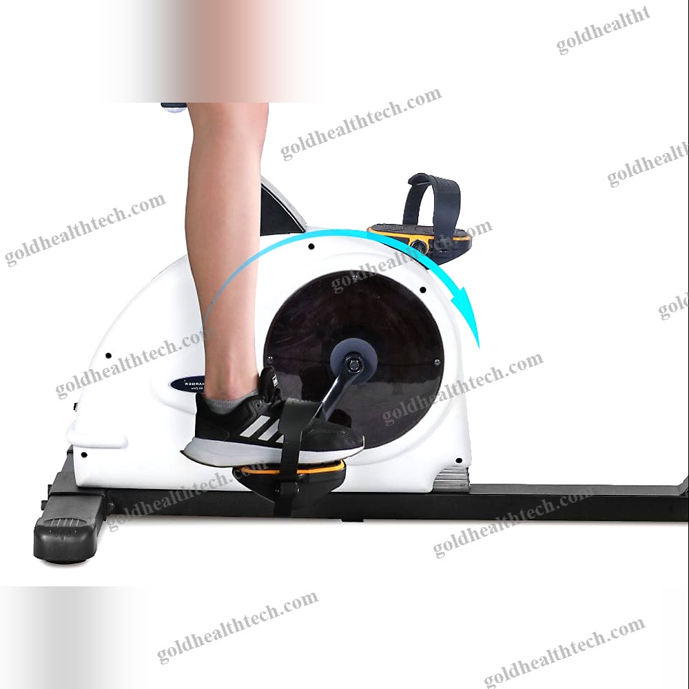 Ergometer Exercise Bike