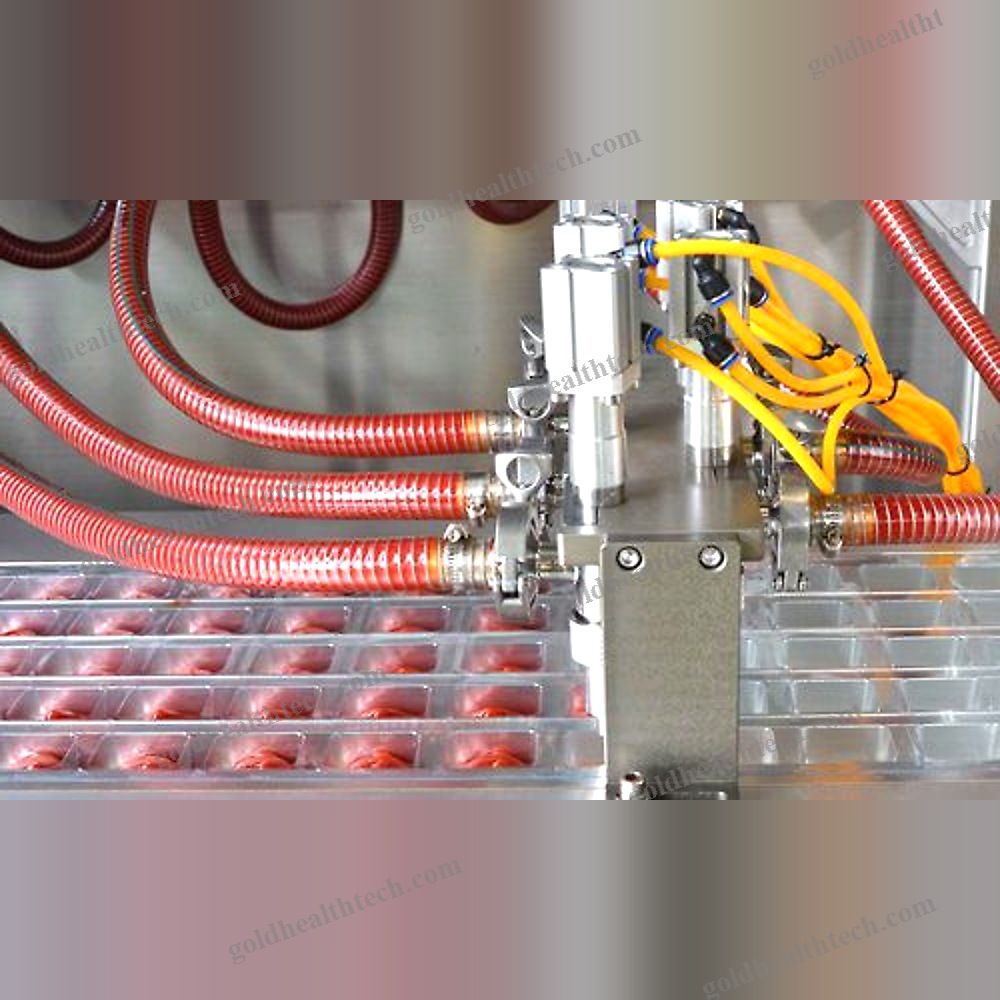 Thermoforming Machine For The Food Industry
