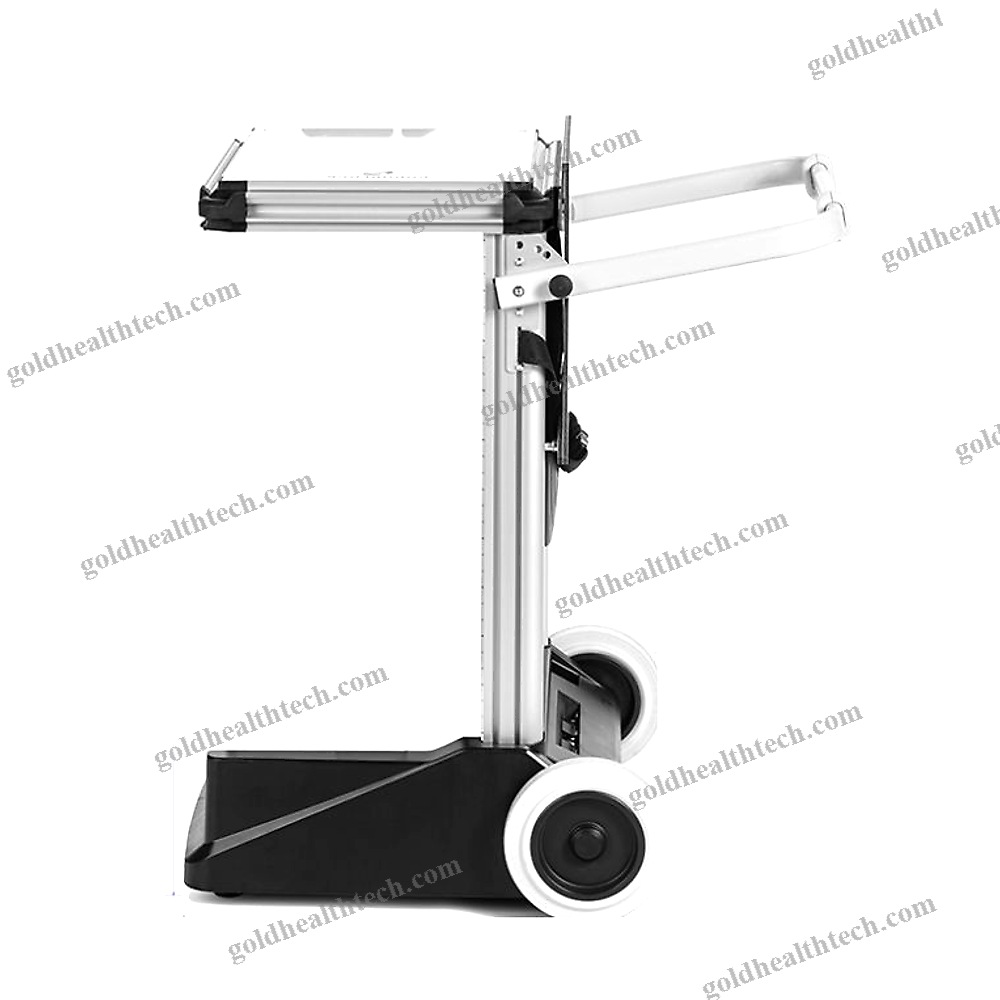 Veterinary Workstation