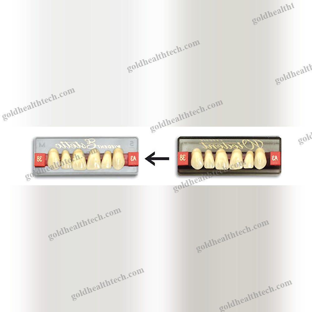 Acrylic Dental Prosthesis