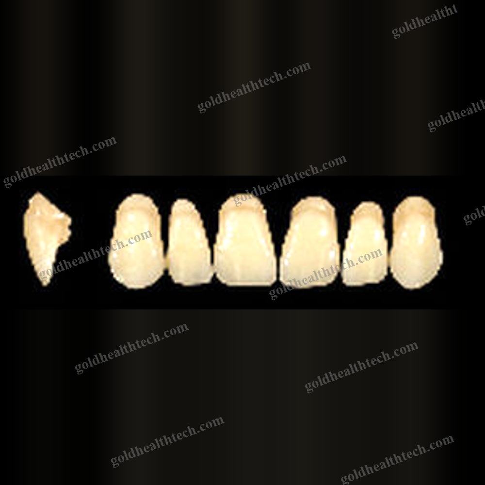 Acrylic Dental Prosthesis