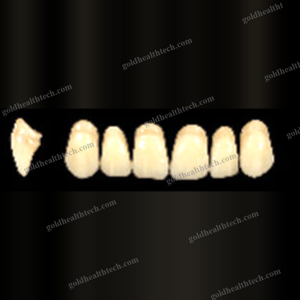 Acrylic Dental Prosthesis