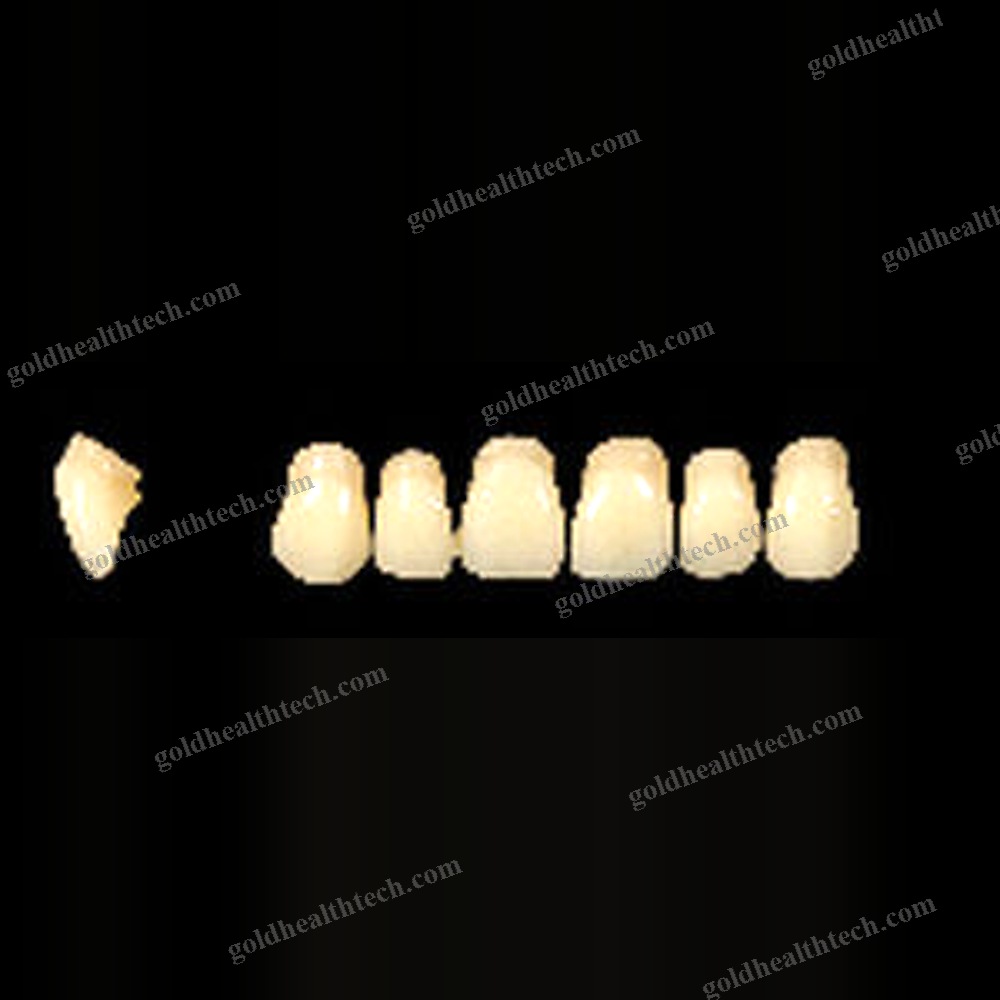 Acrylic Dental Prosthesis