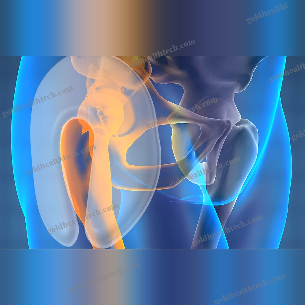Unisex Hip Protector