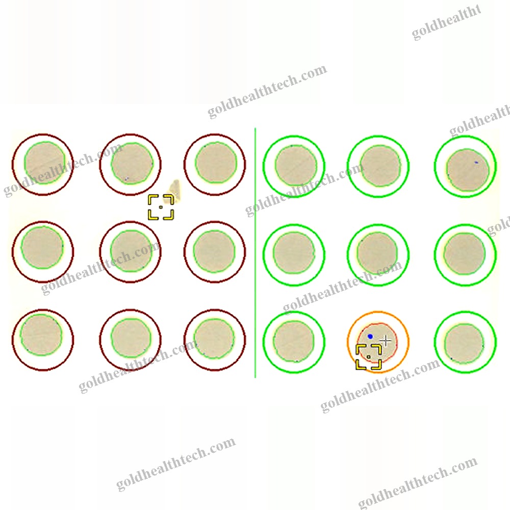 Capsule Inspection System