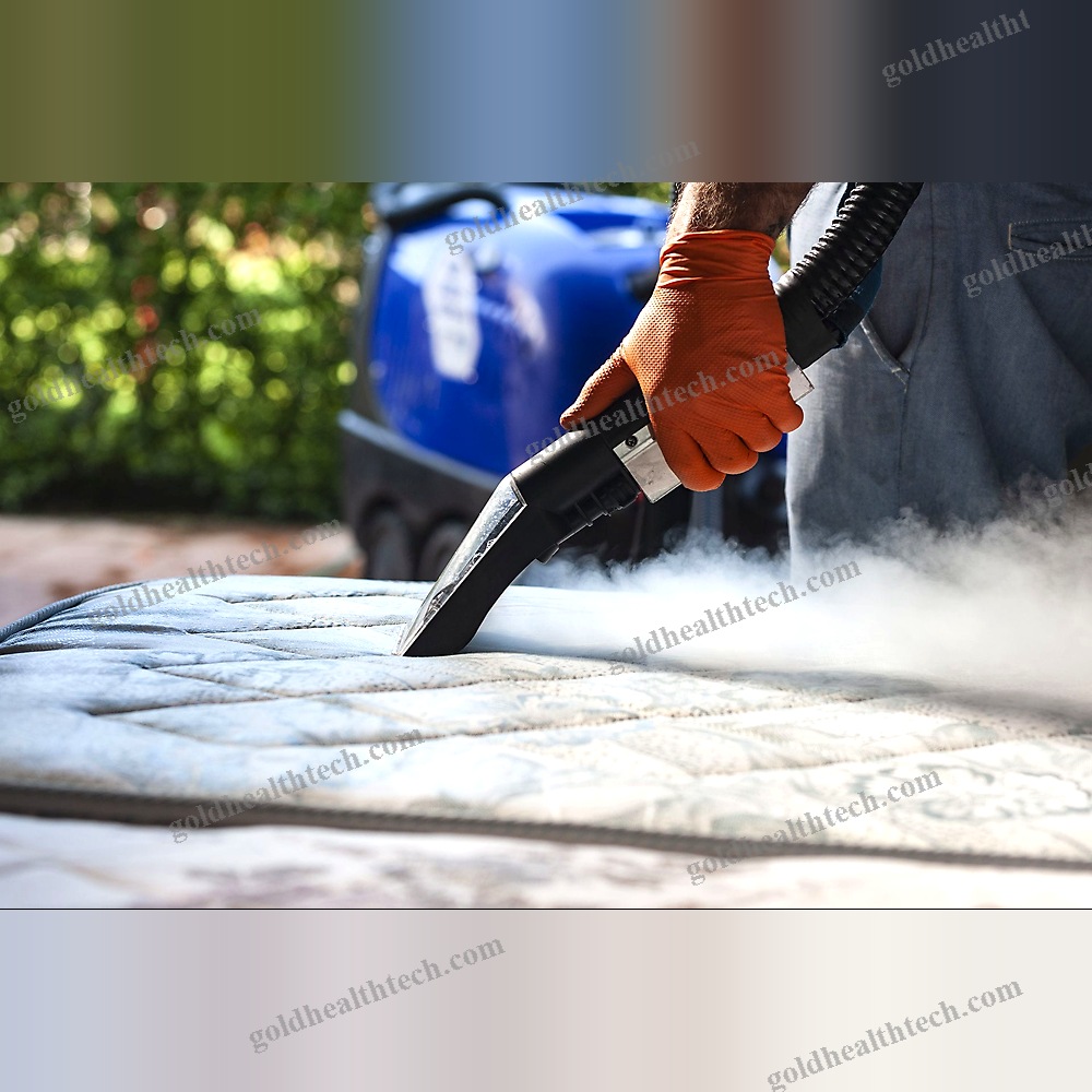 Industrial Steam Cleaner