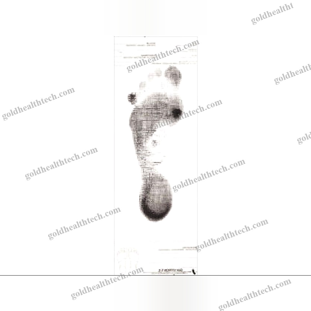 1 Foot Podograph