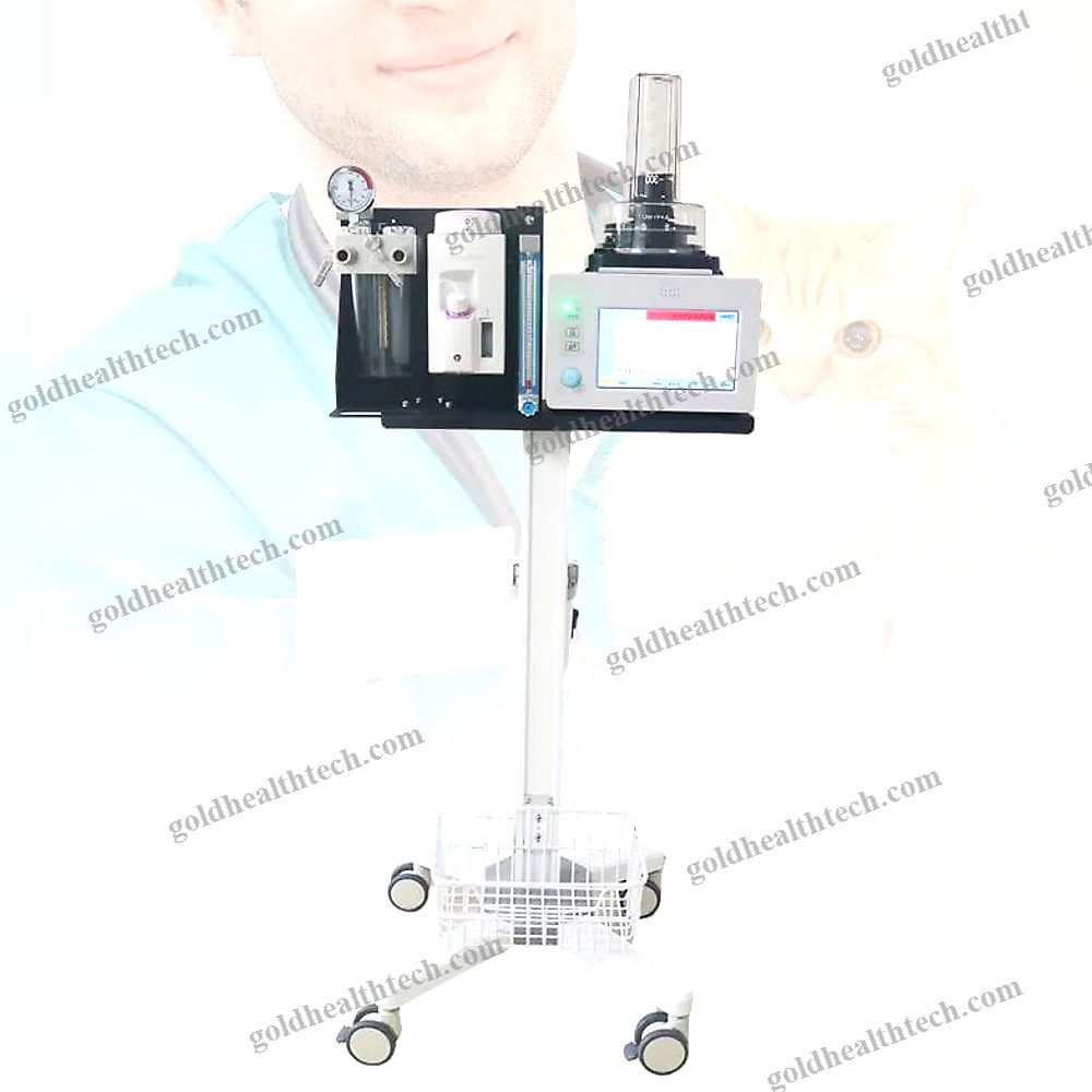 Anesthesia Ventilator