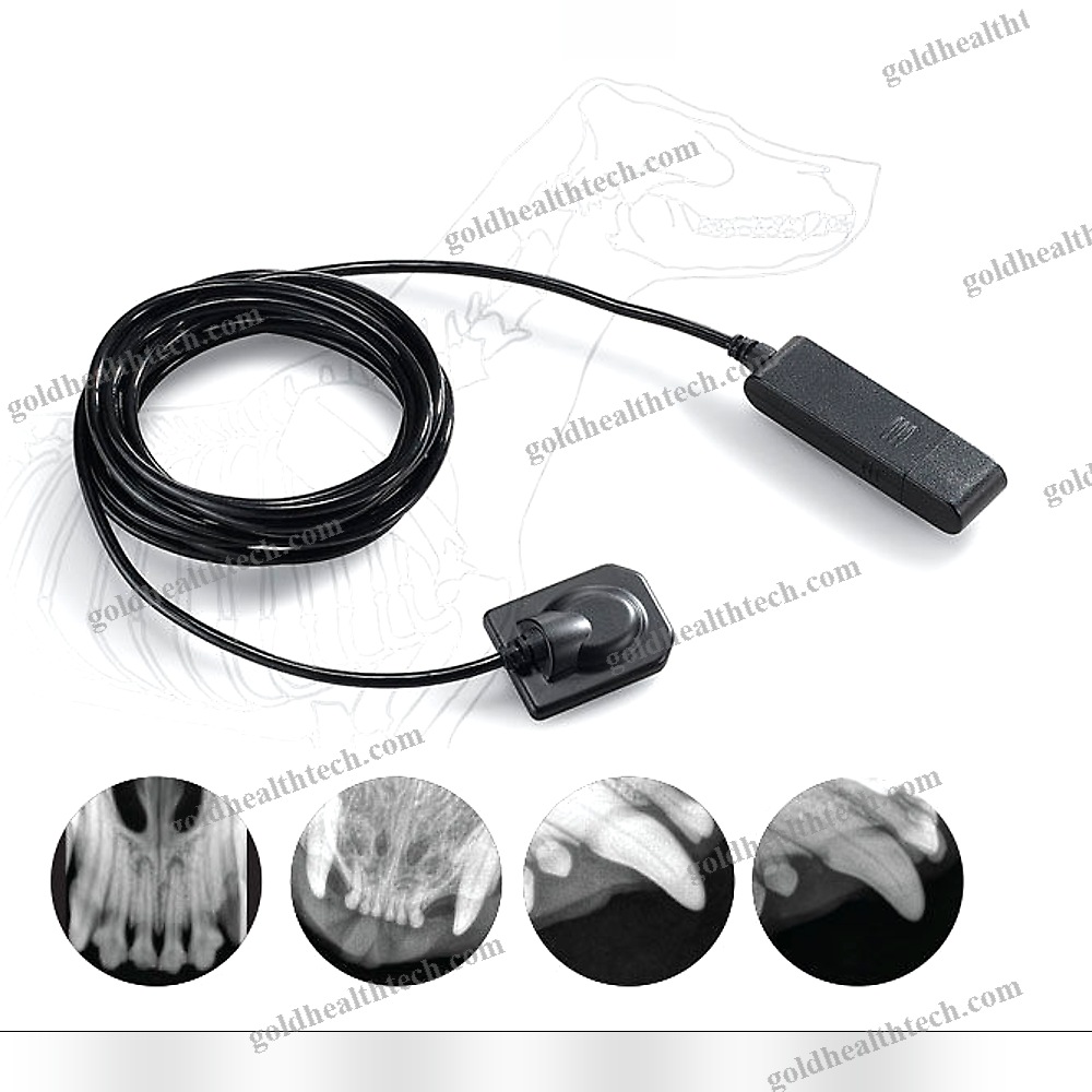 Veterinary Intra-Oral Detector