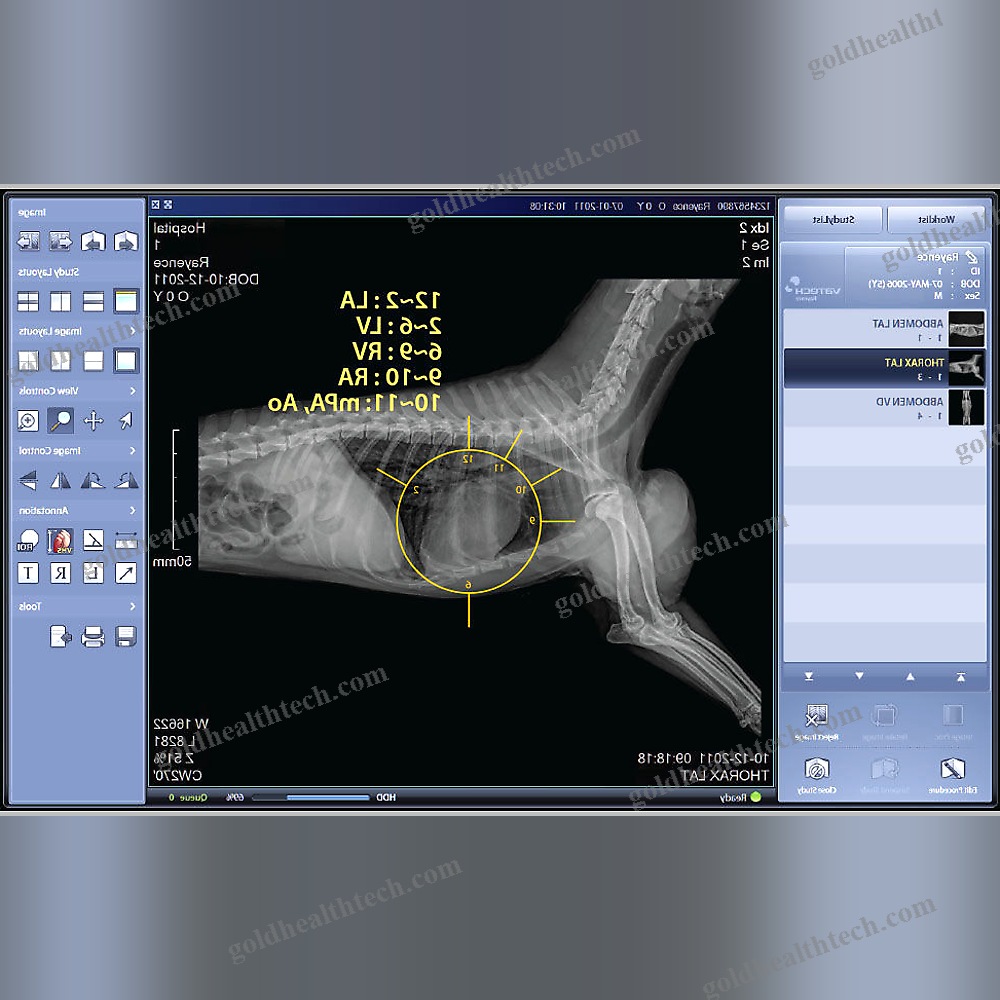 Veterinary Radiology Software