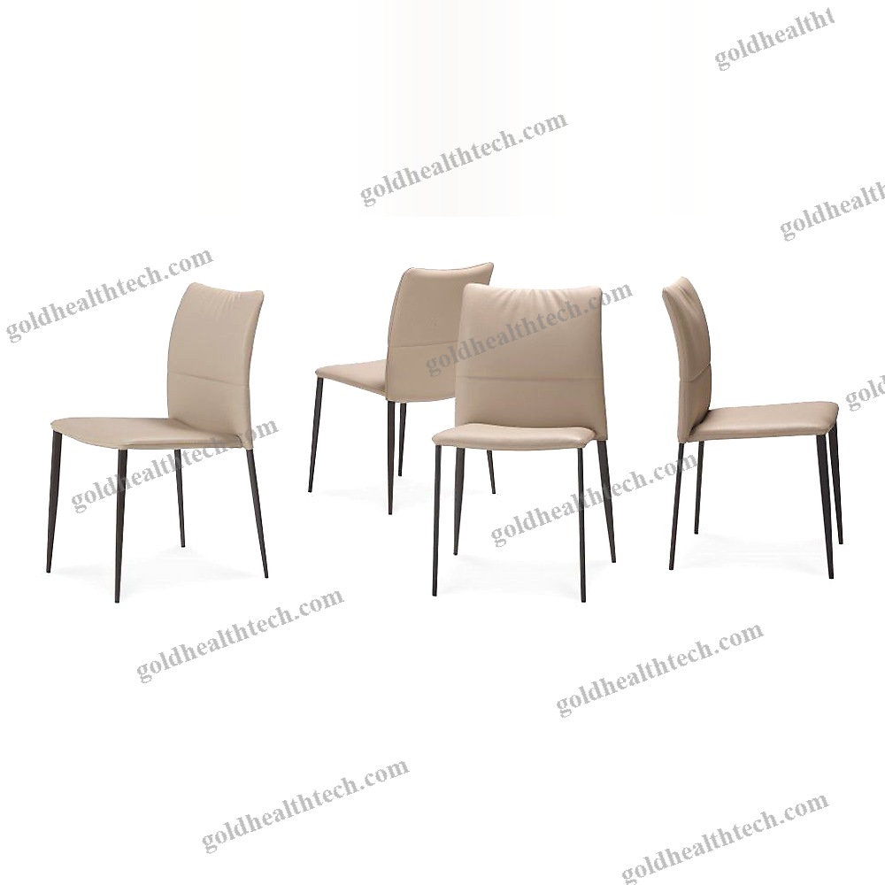 Dining Room Chair