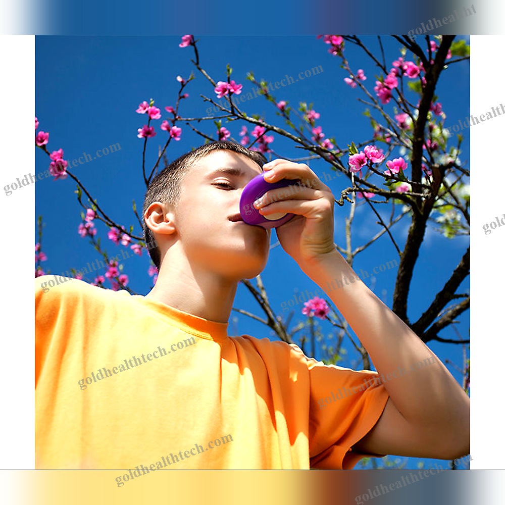 Of Dry Powder Inhaler