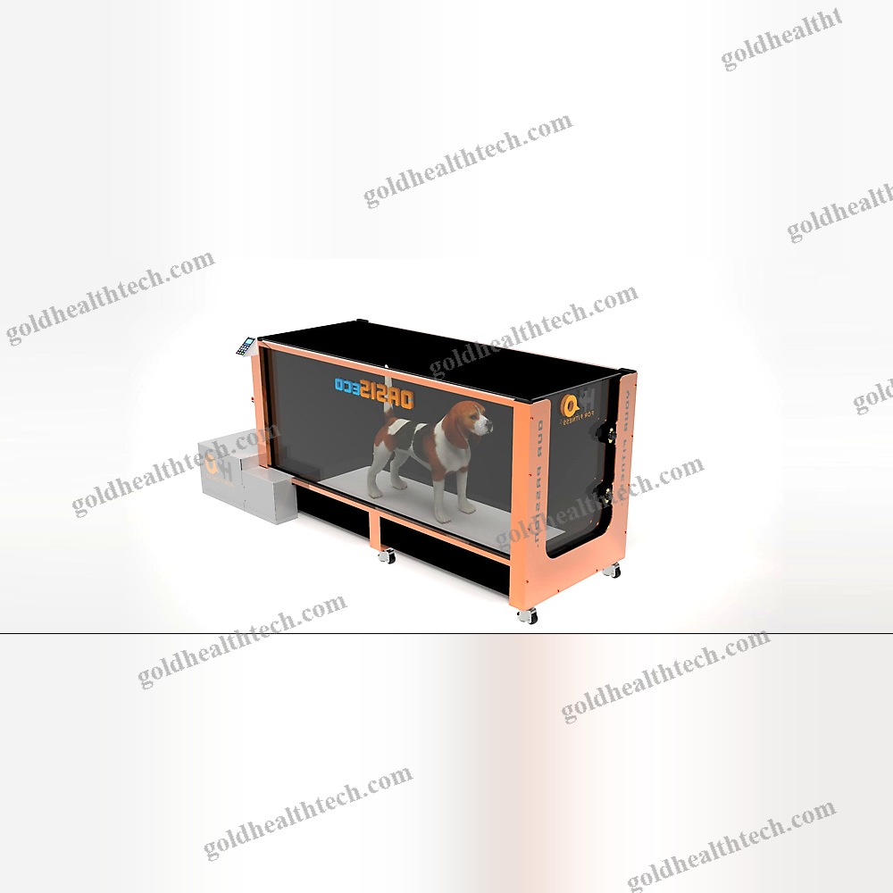 Underwater Veterinary Treadmill