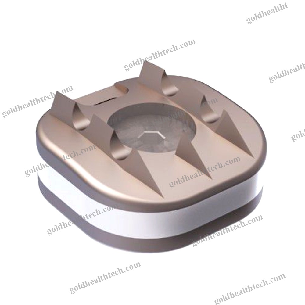 Cervical Disc Prosthesis