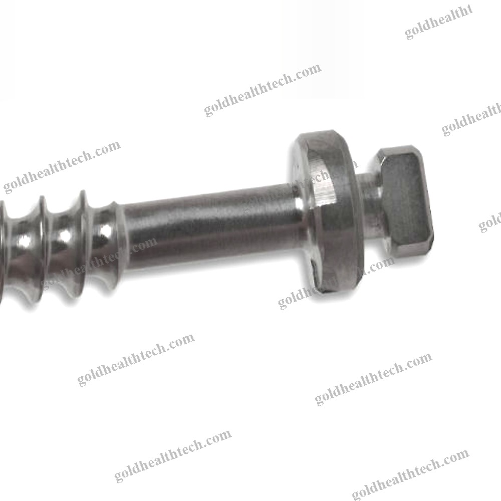 Lumbar Vertebra Arthrodesis Screw