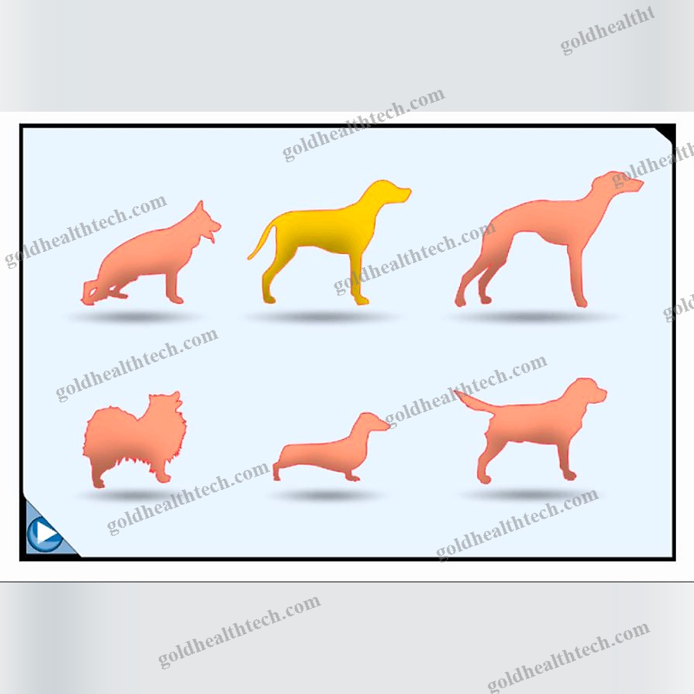 Veterinary Radiology Software