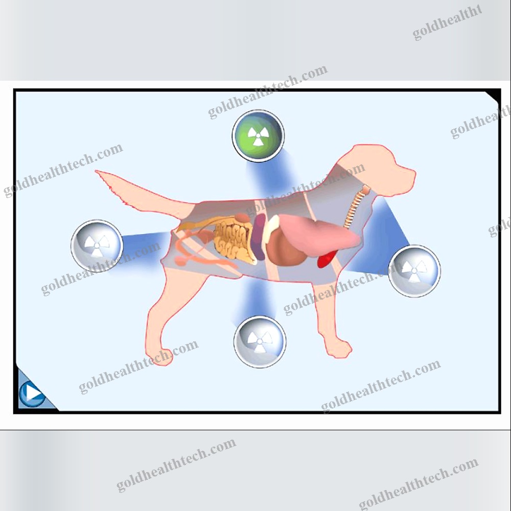 Veterinary Radiology Software