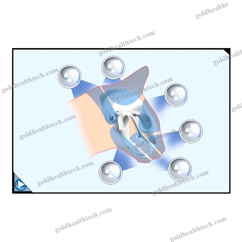 Veterinary Radiology Software