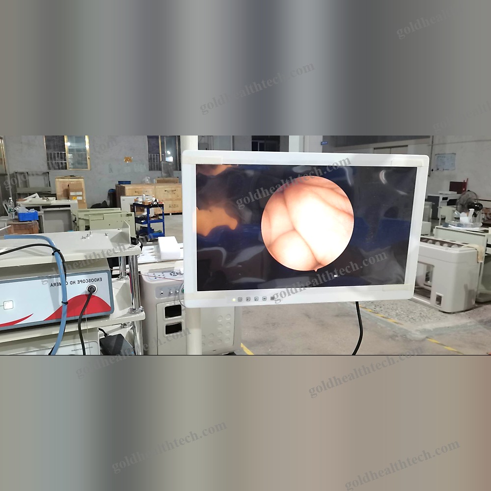Ent Workstation