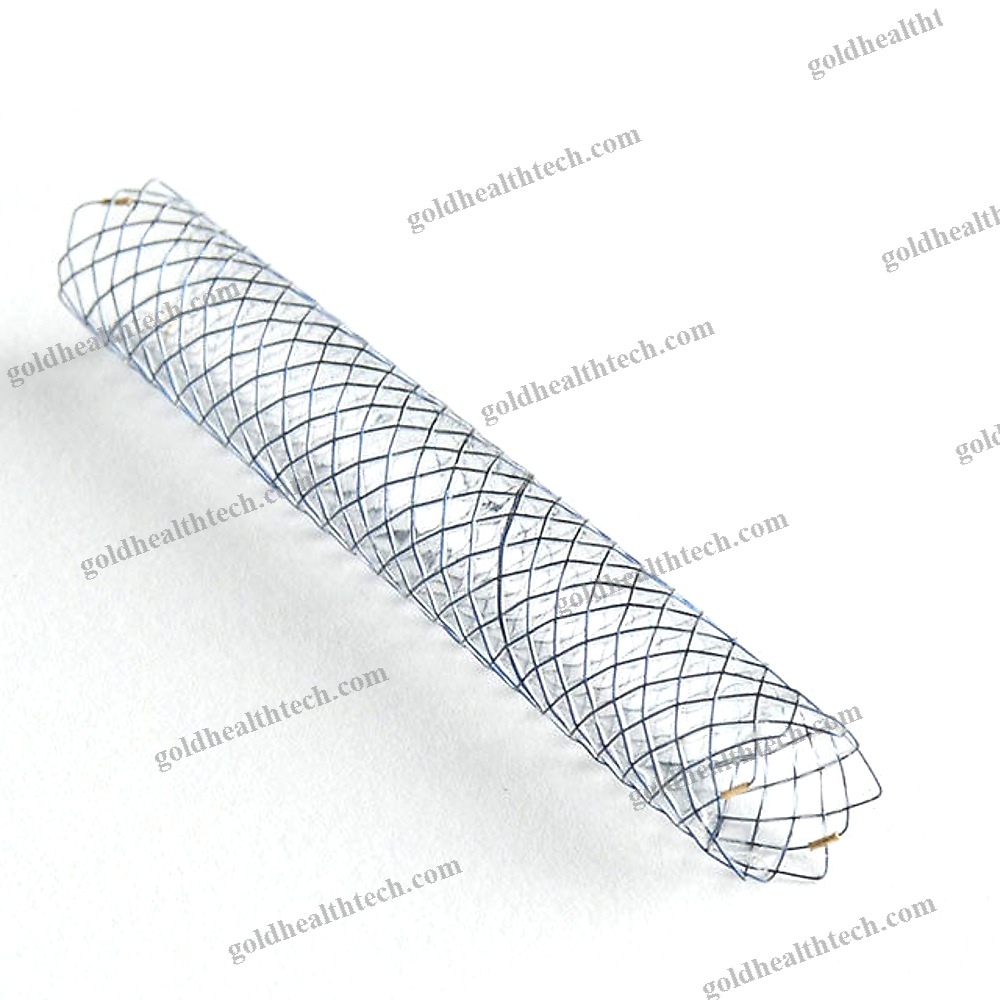 Biliary Stent