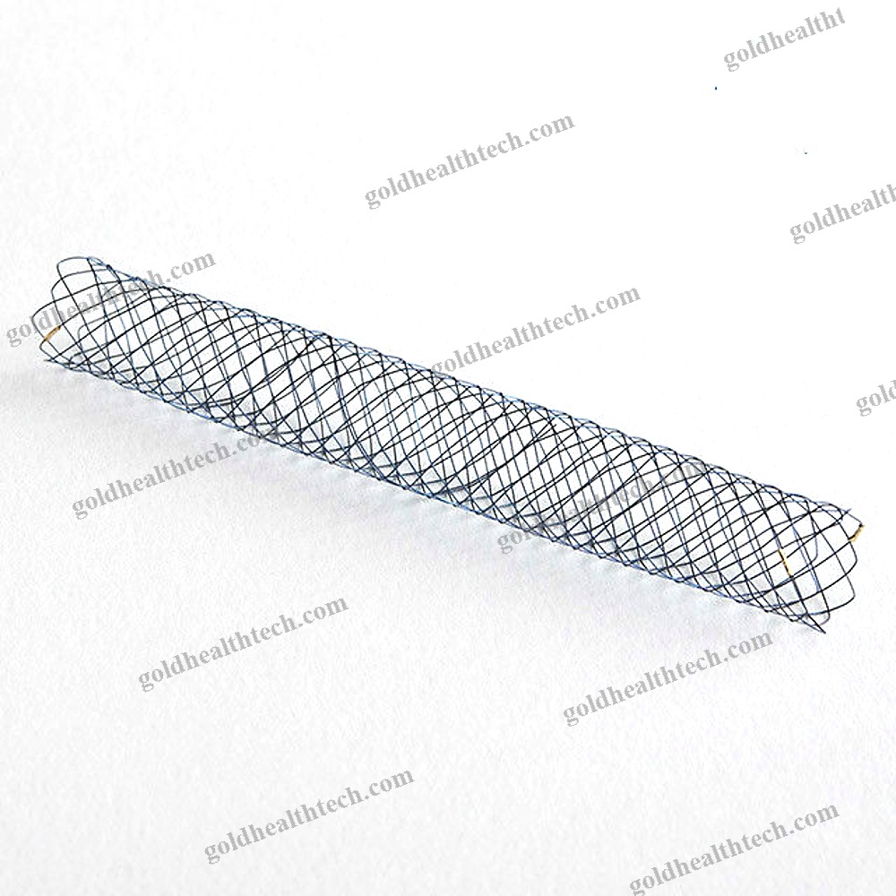 Biliary Stent
