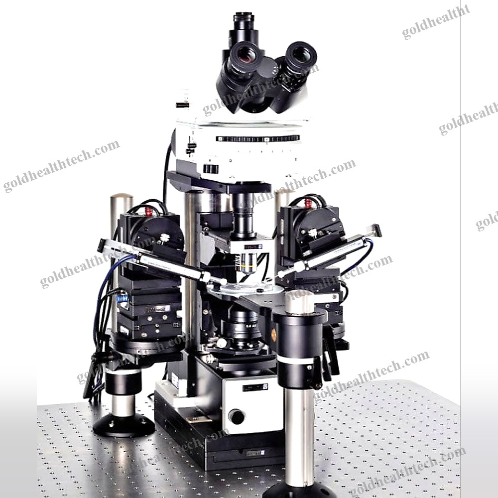 Optical Microscope