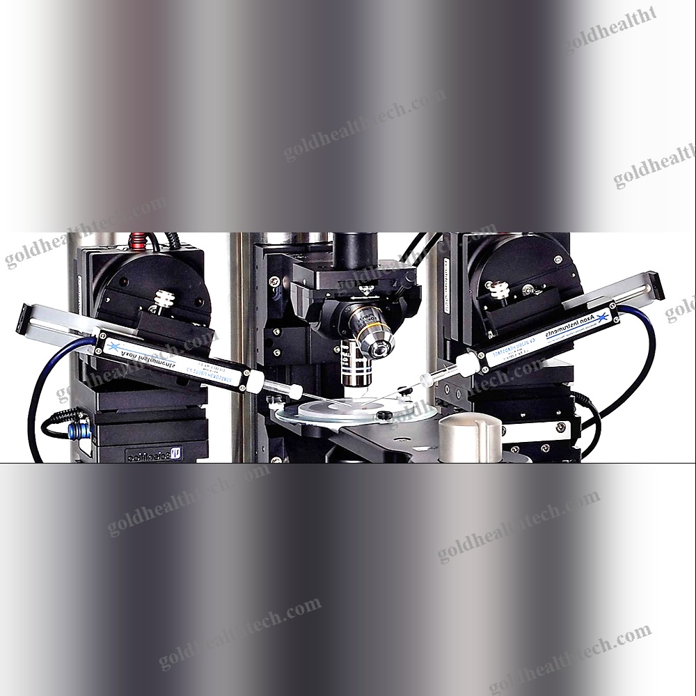 Optical Microscope